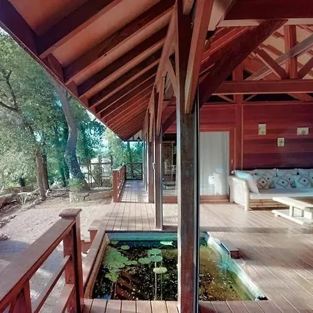 Διαμέρισμα 7br House - What'app - 0034-656-619-782 - For Reservations! Κάννες